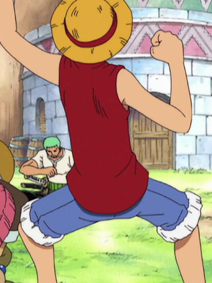 Monkey D Luffy One Piece Red Cotton Vest