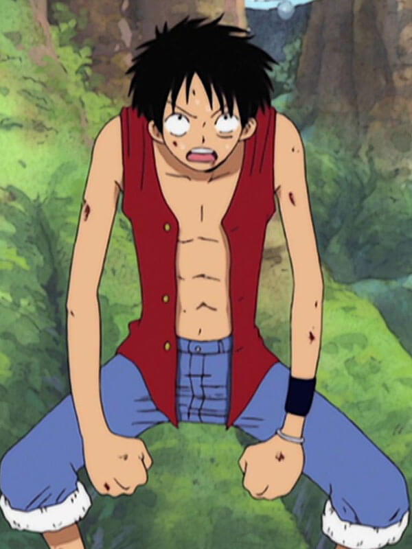 Monkey D Luffy One Piece Red Cotton Vest